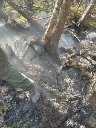 UP wildfire suppression moves toward cleanup